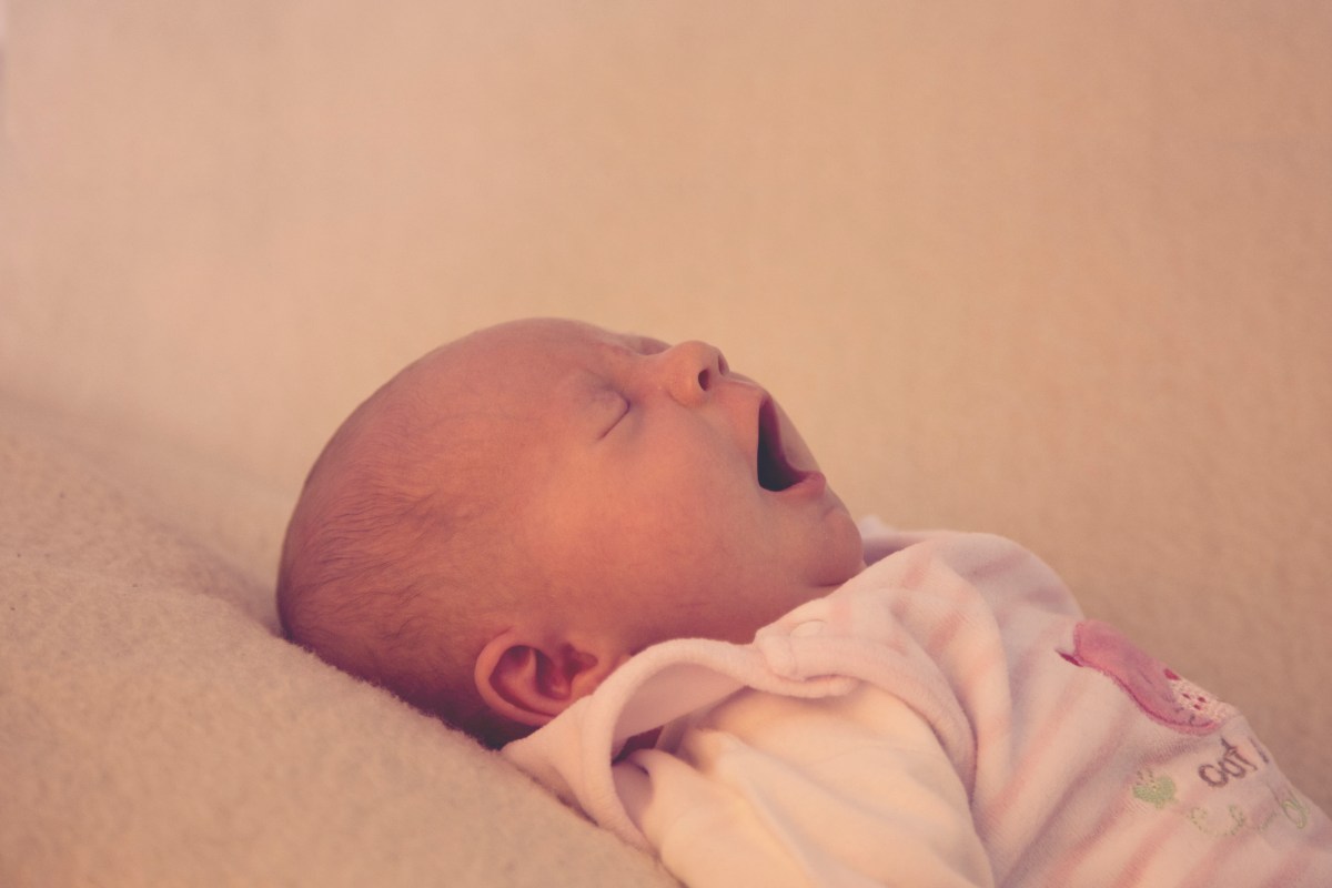 Babyfotograf München